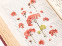 Appree Pressed Flower Stickers - Geranium