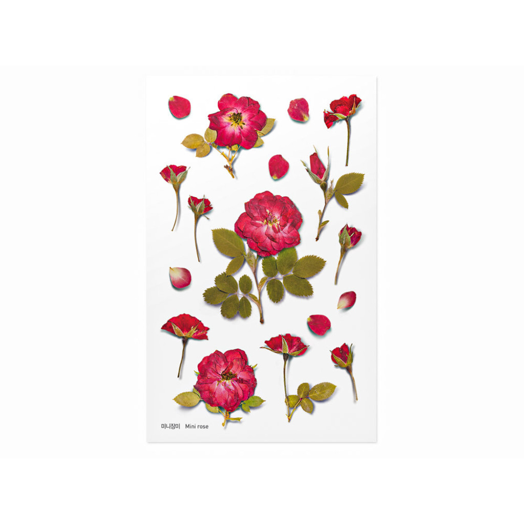 Small Roses Sticker Appree Pressed Flower Stickers - Mini Rose - APS-015 | Kuldlelu