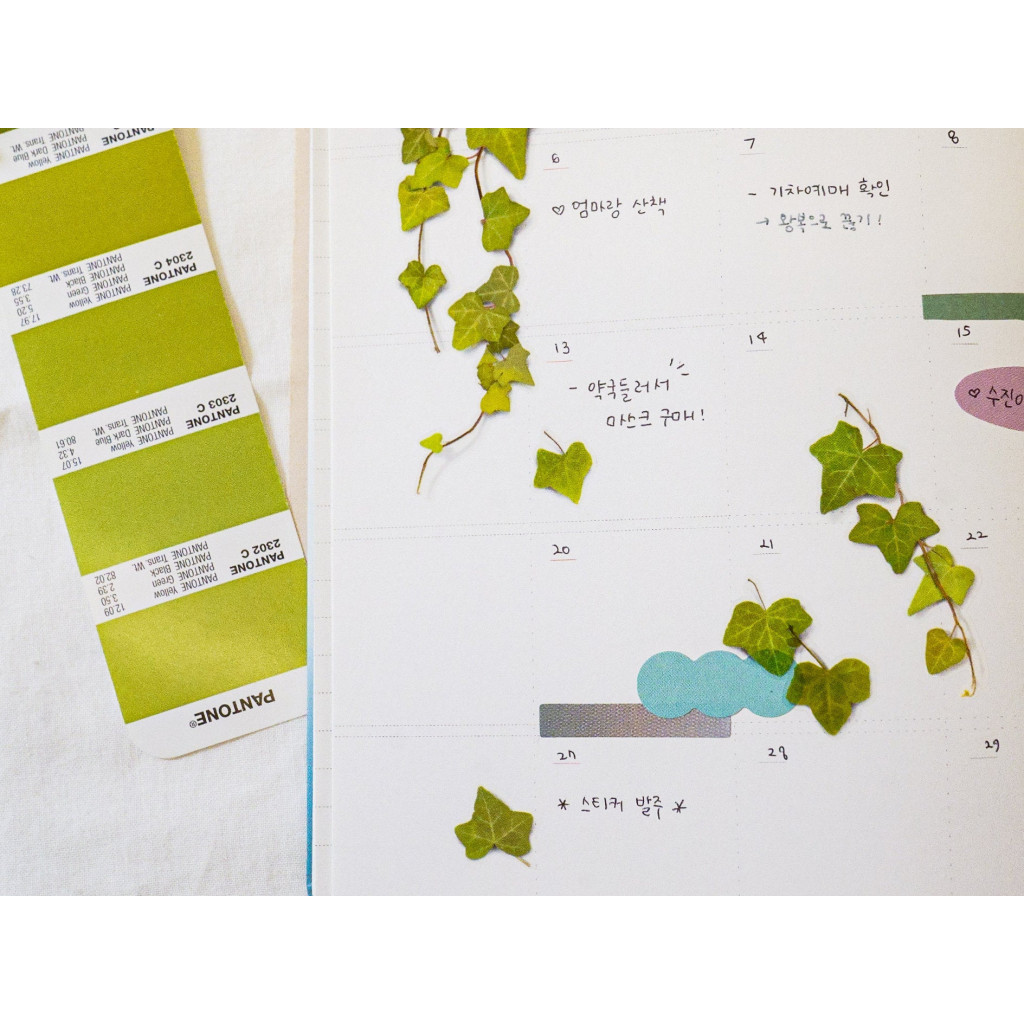 Appree Pressed Flower Stickers - Ivy Leaves - APS-026 | Kuldlelu