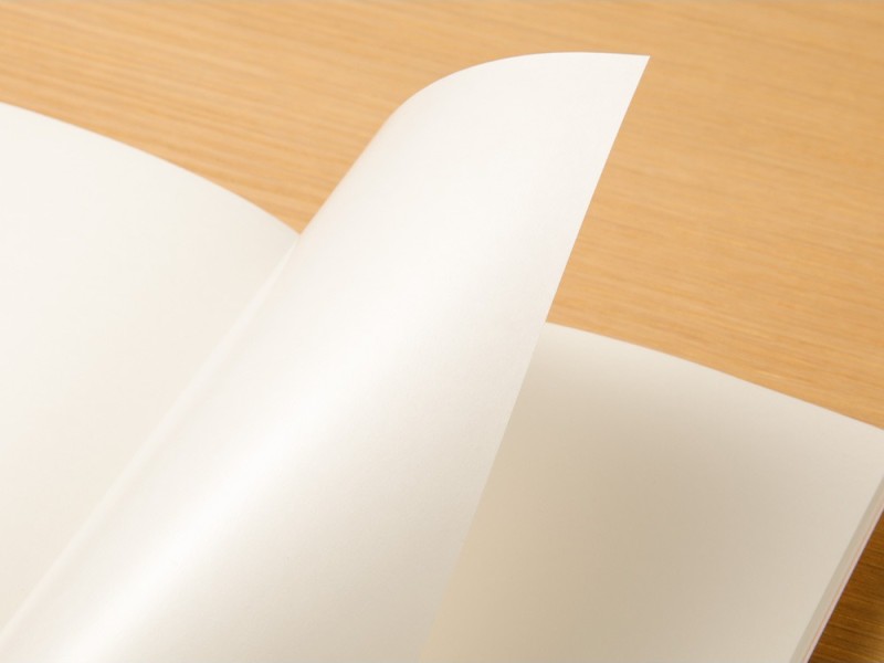 TRC Sticker Release Paper Refill Regular Size