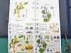 Ponchise Masking Sticker Sheet - September October