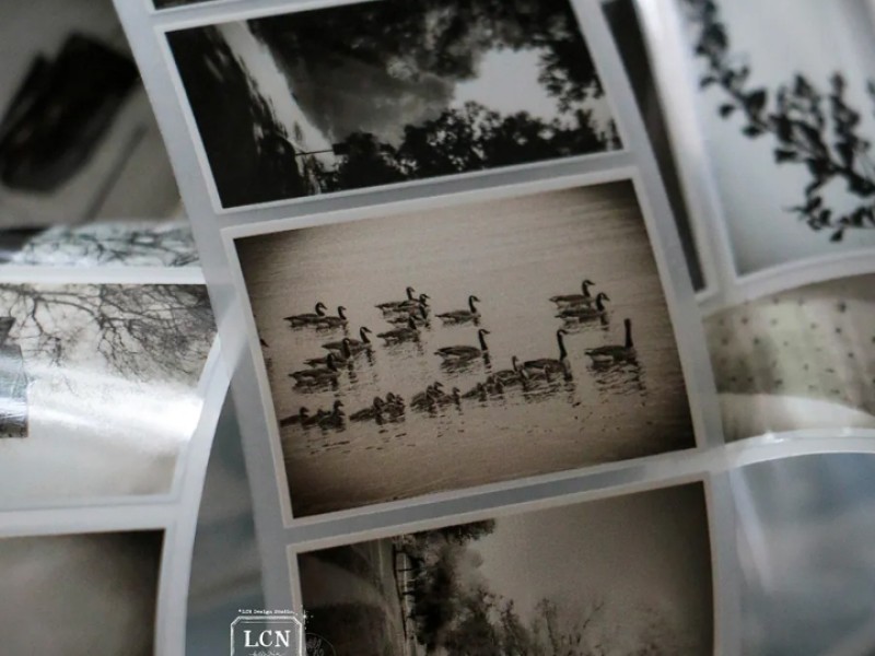 Pre-Order Lin Chia Ning Matte PET Tape - Journey Vol.1