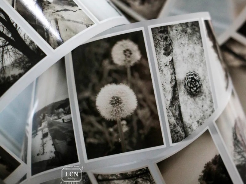 Pre-Order Lin Chia Ning Matte PET Tape - Journey Vol.1