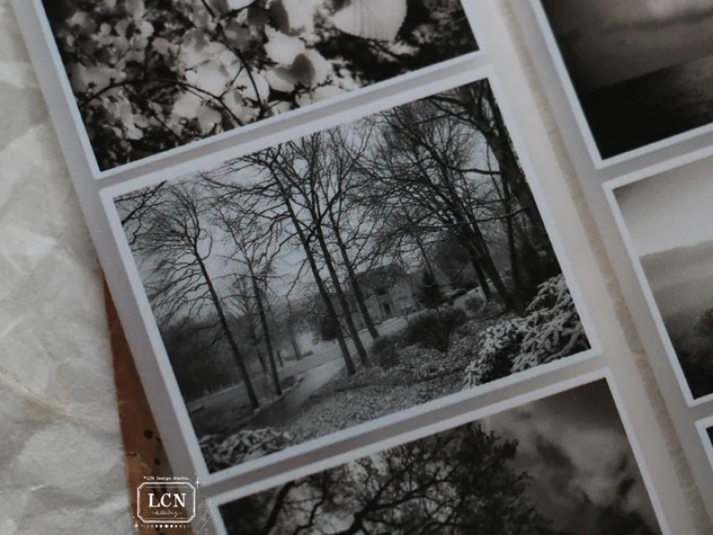 Pre-Order Lin Chia Ning Matte PET Tape - Journey Vol.2