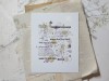 Pre-Order LCN Clear Background Stamps - Splashes
