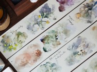 Xiaobaijia Tape  - Colorful Impressions