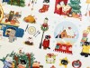 Pre-Order Xiami Original PET Tape Winter Elements - Christmas Cat