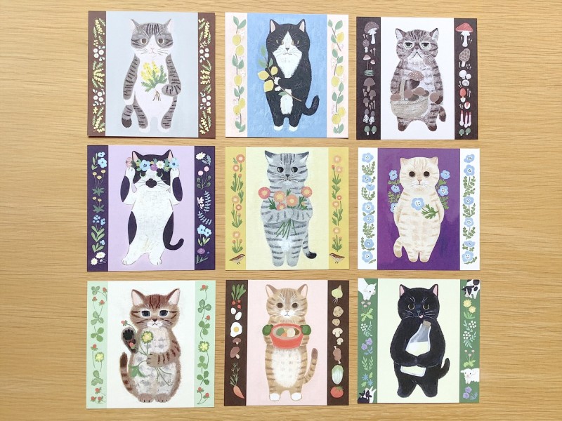 Pre-Order 4Legs Notepaper Set - 30 Different Cats