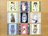 Pre-Order 4Legs Notepaper Set - 30 Different Cats