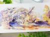 Sleeping Theater Studio Washi Tape Sample - Edge of the World
