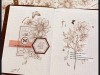 Xiaobaijia Washi Tape - Retro Love Brown Flowers