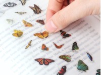 Appree Nature Stickers - Butterfly