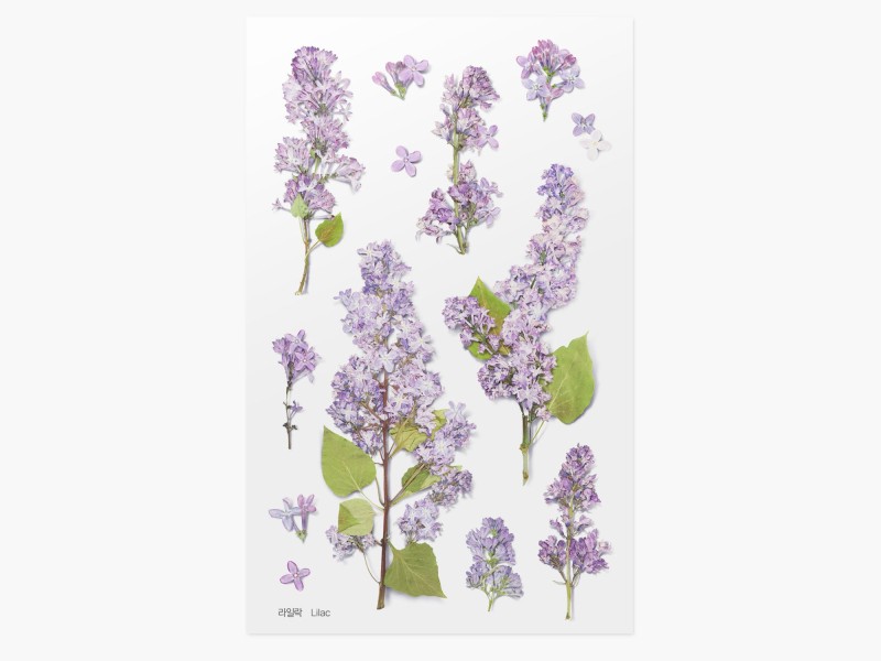 Appree Pressed Flower Stickers - Lilac