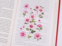 Appree Pressed Flower Stickers - Rose Of Sharon