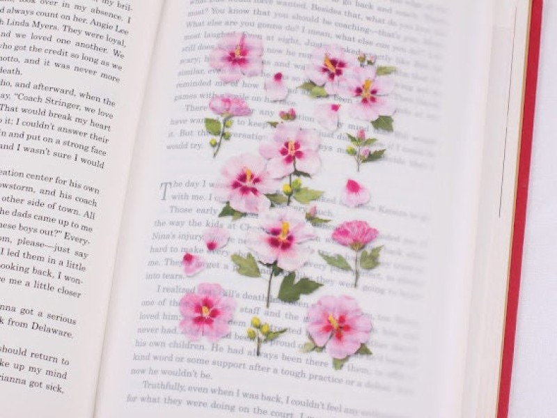 Appree Pressed Flower Stickers - Rose Of Sharon