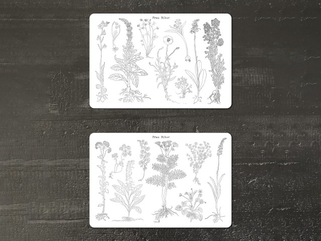 Frau Biber Clear Botanical Stickers - Herbs