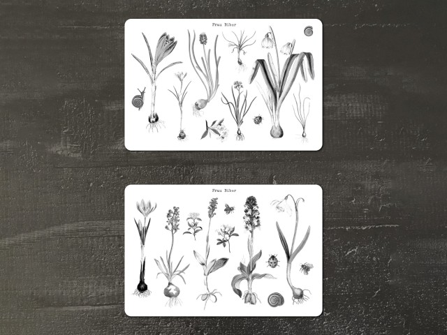 Frau Biber Clear Botanical Stickers - Spring Flowers