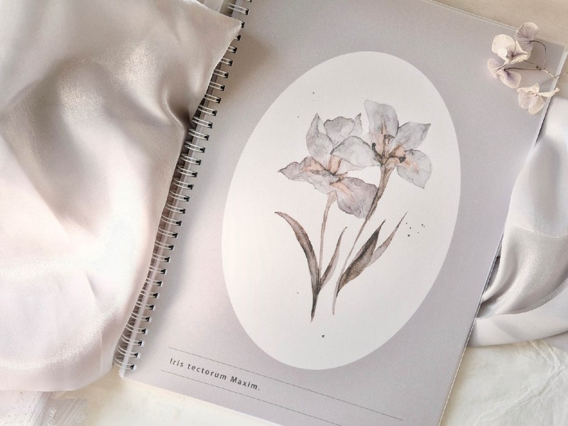 Pre-Order Freckles Tea A4 Release Paper Book Vol.3 - Purple Iris