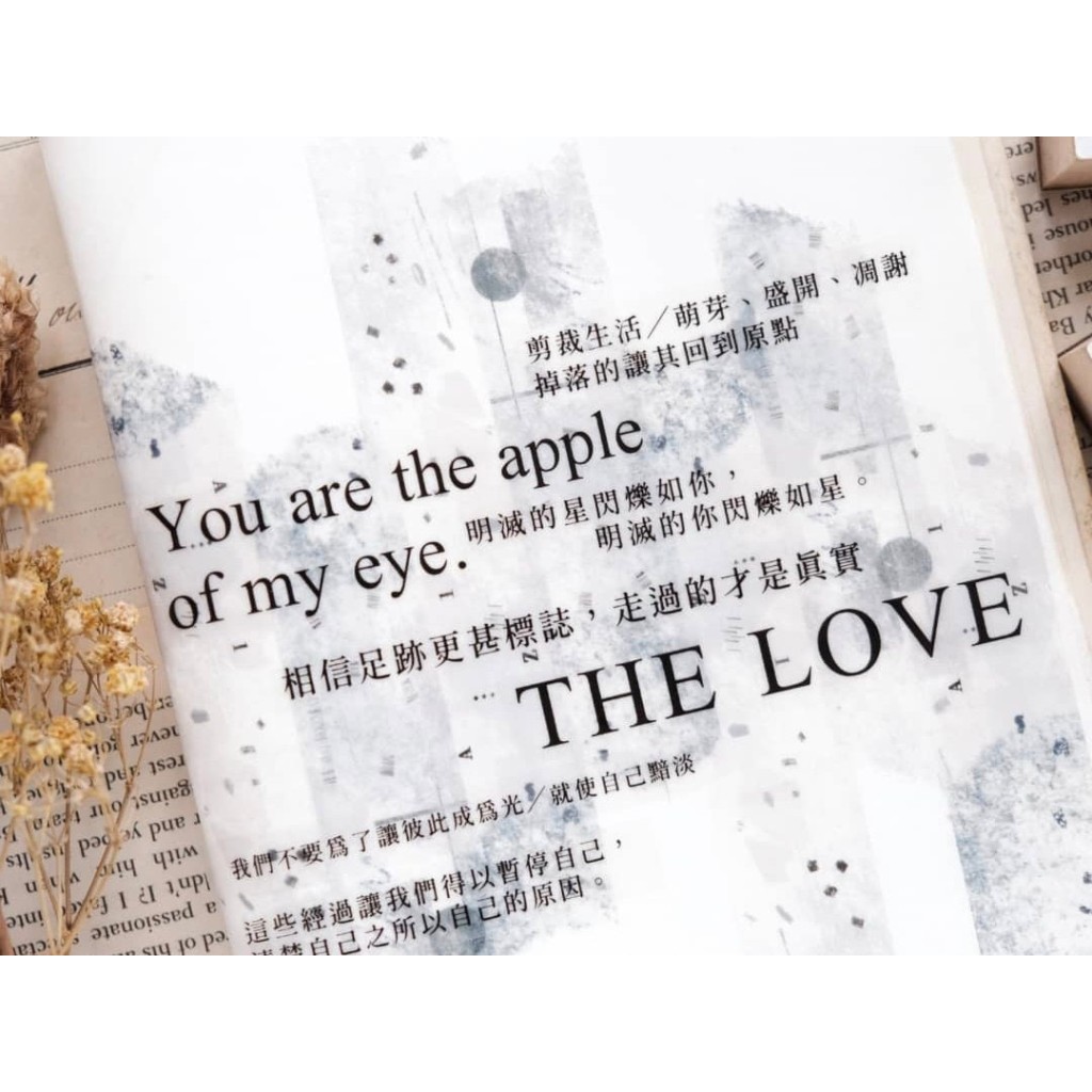 Stationery Instinct Clear PET Tape Us And Story Kuldlelu