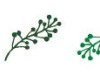 Deco Rush Decorative Tape Wide - Leaf