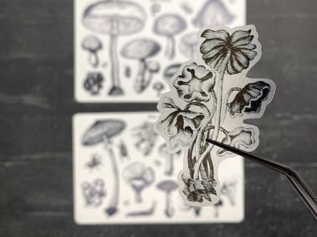 Frau Biber Clear Botanical Stickers - Mushrooms