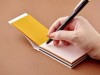 Kamiterior Mini Multipurpose Paper Pad Cats - Striped Tabby