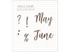 Pre-Order MU Clear Stamp Set Icon 017 - All Months