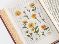 Appree Pressed Flower Stickers - Calendula