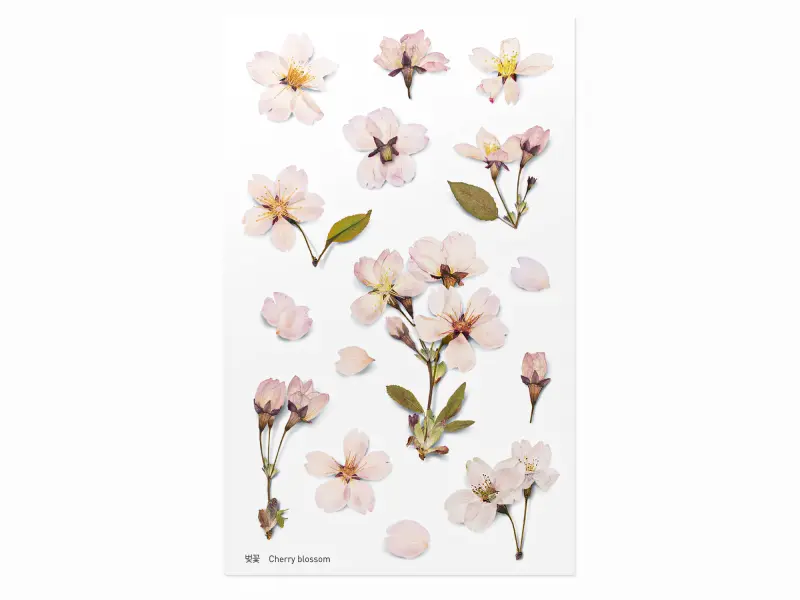 Appree Pressed Flower Stickers - Cherry Blossom