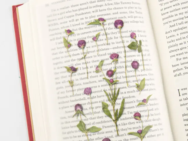 Appree Pressed Flower Stickers - Globe Amaranth