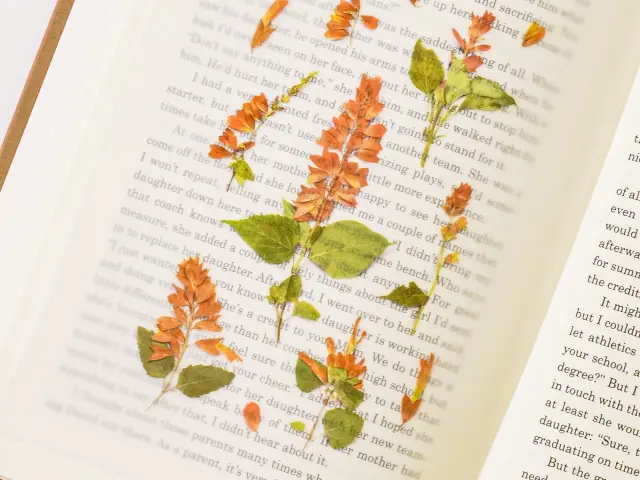 Appree Pressed Flower Stickers - Salvia