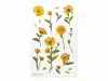 Appree Pressed Flower Stickers - Calendula