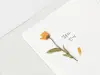 Appree Pressed Flower Stickers - Calendula