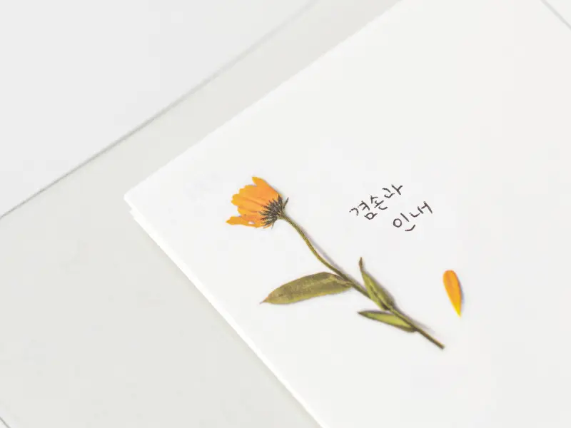 Appree Pressed Flower Stickers - Calendula