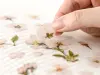 Appree Pressed Flower Stickers - Cherry Blossom