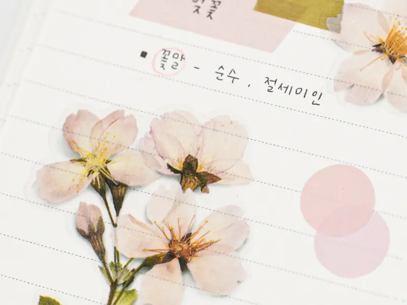 Appree Pressed Flower Stickers - Cherry Blossom
