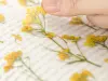 Appree Pressed Flower Stickers - Rapeseed Flower