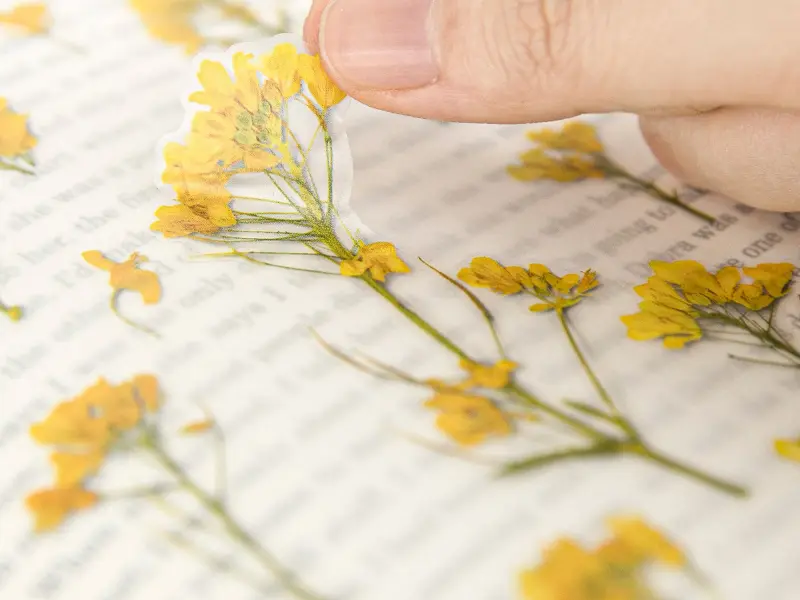 Appree Pressed Flower Stickers - Rapeseed Flower