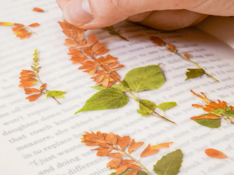 Appree Pressed Flower Stickers - Salvia