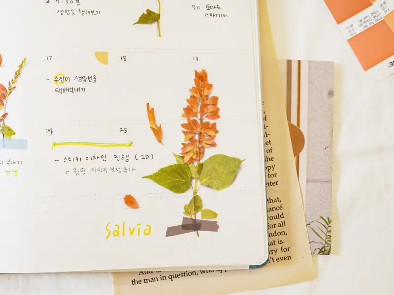 Appree Pressed Flower Stickers - Salvia