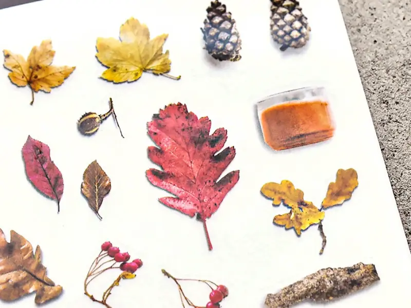 MU | Print-On Stickers - Fall Is Here