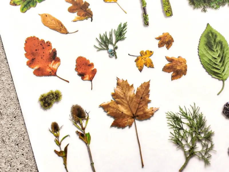 MU | Print-On Stickers - Fall Is Here