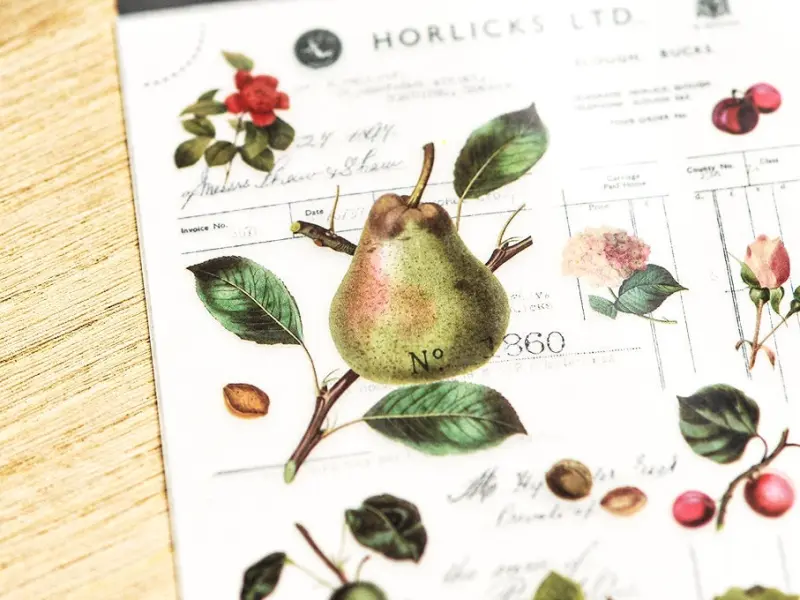 MU | Print-On Stickers - Fruit Encyclopedia