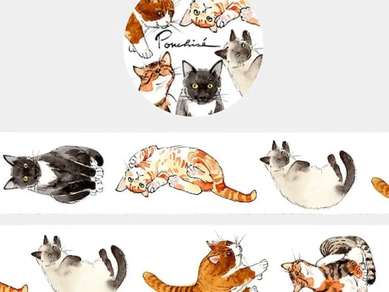 Ponchise Washi Tape - Cat