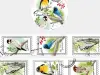 Ponchise Washi Tape - Bird