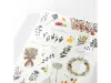 Midori Transfer Stickers  Rub-On - Floral