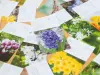 Pre-Order 2026 Birthday Flower Calendar Day To Day 366