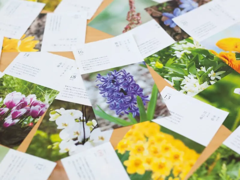 Pre-Order 2026 Birthday Flower Calendar Day To Day 366