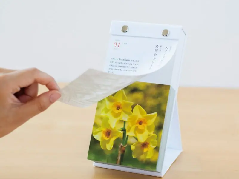 Pre-Order 2026 Birthday Flower Calendar Day To Day 366