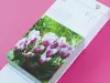 Pre-Order 2026 Birthday Flower Calendar Day To Day 366